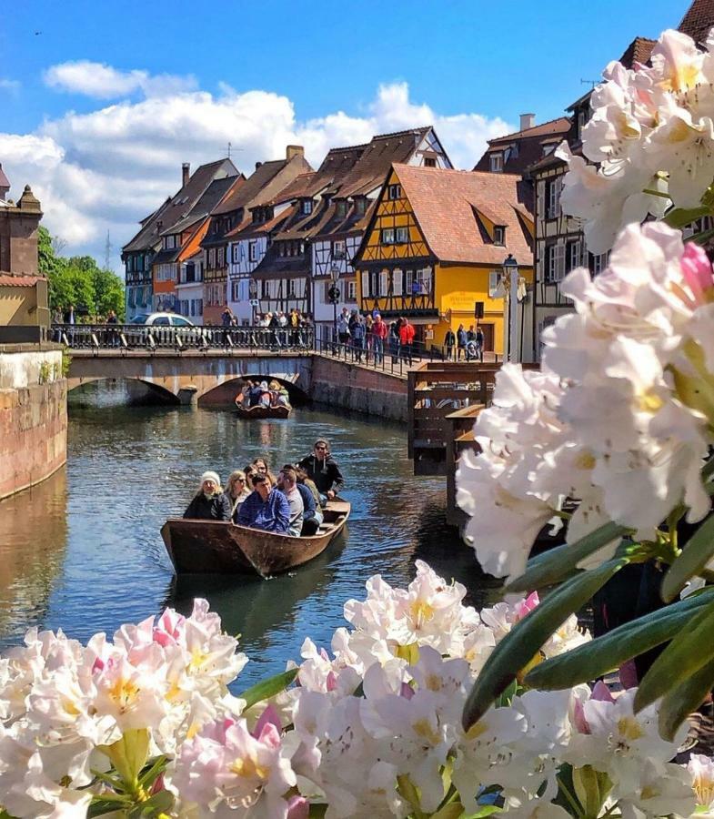 Djokovic'S Apartment Colmar Bagian luar foto